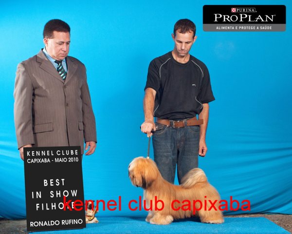 Clique sobre a foto para fechar